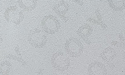secure paper ghost word